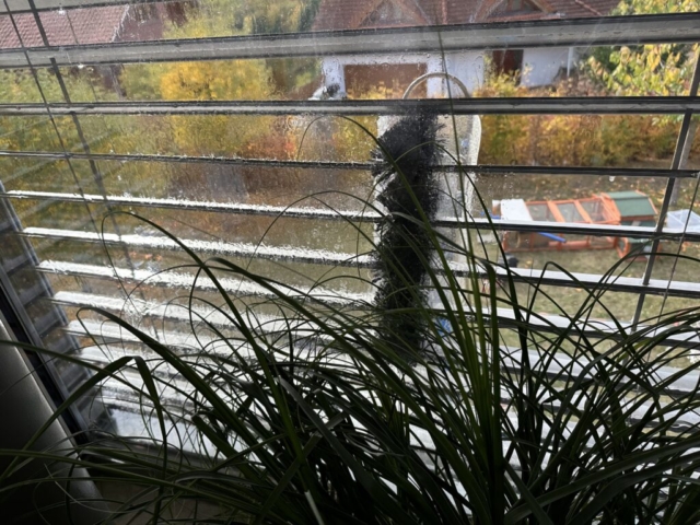 Mytí venkovních žaluzií při pohledu zevnitř