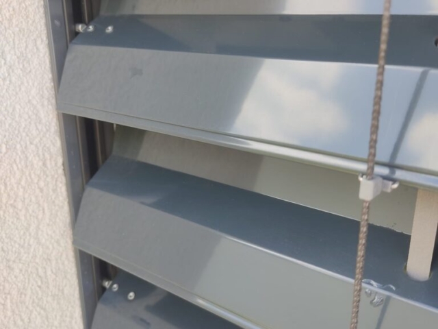 Lesknoucí se lamely po našem čištění